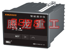 溫度表、數(shù)字顯示儀、濕度表