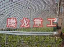 大棚花卉供暖設(shè)備、大棚卉采暖設(shè)備、大棚花卉取暖設(shè)備